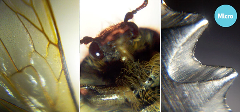 Illustration for article titled Stick-On Lenses Turn Your Phone Camera Into a Microscope